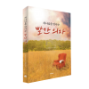 하나님을 만나는 빨간의자